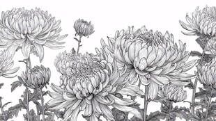 墨绘菊花花卉线稿图案