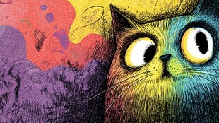 彩色萌猫的奇幻表情世界