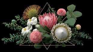 三角框中的多彩花卉组合