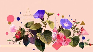 几何花卉组合插画图案