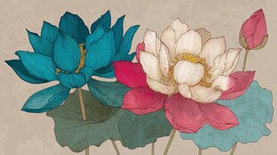 手绘多彩荷花图