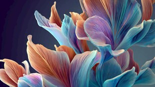 梦幻绚丽的多彩花卉图案