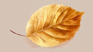 金黄秋叶 水彩绘就的诗意