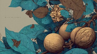 蓝调风核桃与枝叶静物图