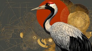 丹顶鹤插画 东方风元素