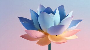 梦幻渐变色彩的唯美莲花
