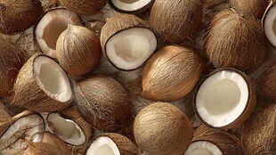 饱满椰子堆 新鲜诱人