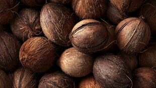 一堆饱满的新鲜椰子