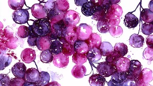 水彩绘紫色葡萄图案