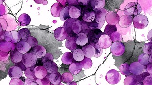 水彩绘就的紫葡萄图案