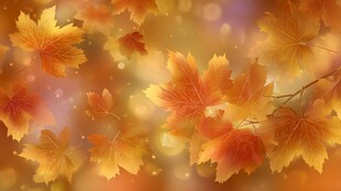 金秋枫叶美如画