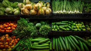 新鲜多样蔬菜陈列展示