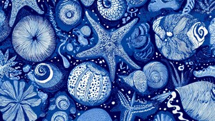 海洋生物蓝调手绘图案