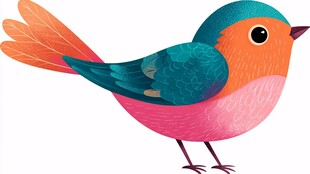 彩色小鸟插画