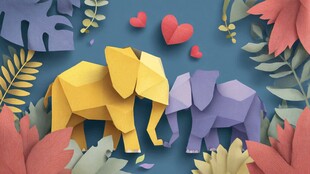 折纸大象的浪漫丛林奇遇