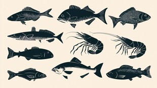 海洋生物剪影集合