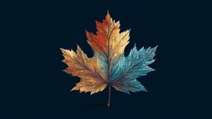 多彩枫叶 秋日梦幻之美