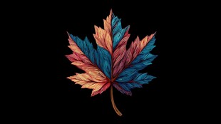 彩色枫叶图案 绚丽梦幻