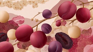 缤纷硕果插画 尽显自然生机