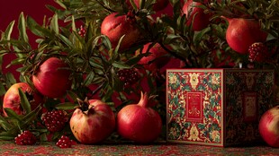 喜庆红石榴与精美礼盒