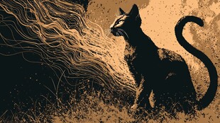 黑猫凝视飘逸发丝场景