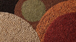 多彩谷物拼盘展示