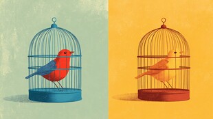 双鸟囚笼 自由与禁锢之象