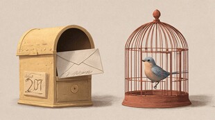 邮箱与笼中鸟的静物场景