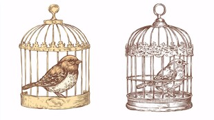 复古鸟笼中的小鸟插画