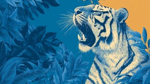 蓝虎咆哮于繁茂丛林间