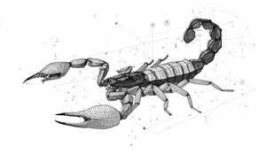 黑白手绘风蝎子插画