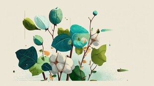 清新手绘棉花绿植插画