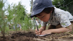 孩童专注记录植物生长