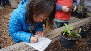 小女孩专注记录盆栽生长