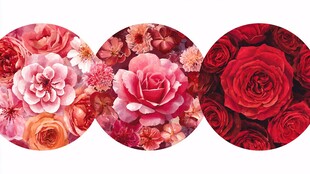 圆形花卉图案组图