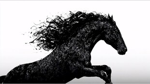 奔腾骏马 尽显不羁风采