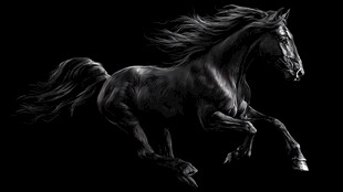 黑色骏马奔腾瞬间