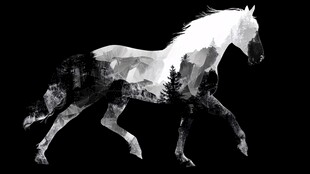 奔马中的山林风景剪影