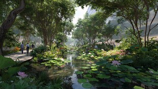 湖畔绿荫间的清幽园林景致