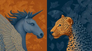 独角兽与猎豹的奇幻对视