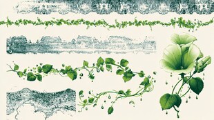 绿色藤蔓花卉装饰素材