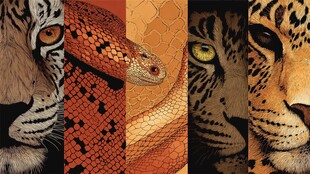 猛兽蛇类特写拼图