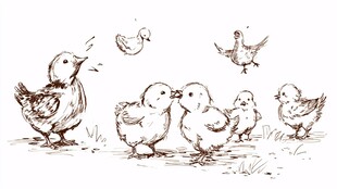 母鸡与小鸡的温馨画面