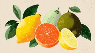 多彩柑橘类水果插画