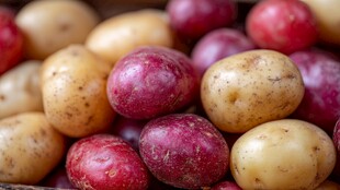 多彩土豆堆 新鲜诱人