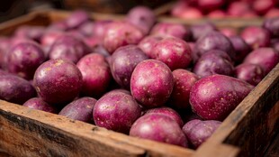 木盒中的紫皮新鲜土豆