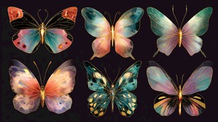 梦幻多彩蝴蝶插画集合