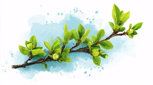 水彩绘嫩绿枝叶清新画面