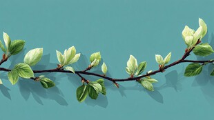 嫩绿新枝 清新自然景象