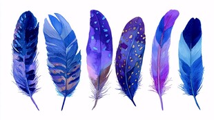 梦幻蓝紫水彩羽毛集合